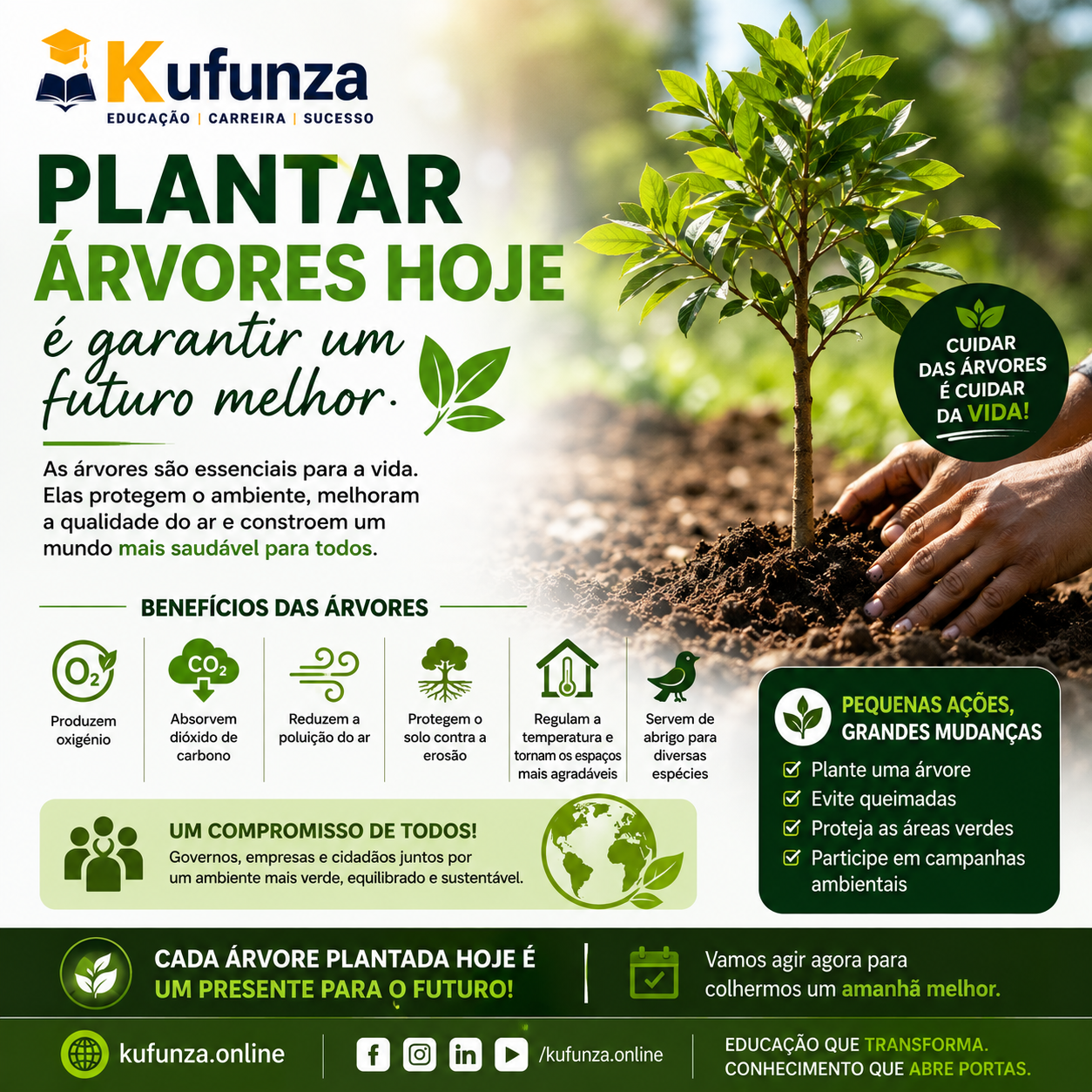 Plantar Árvores Hoje é Garantir um Futuro Melhor